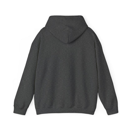 LFT HVY SHT Workout Hoodie - Unisex Heavy Blend™ Hooded Sweatshirt